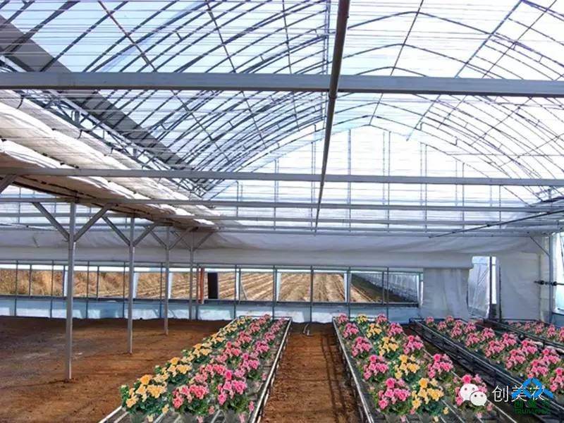2017新型农业水果温室大棚