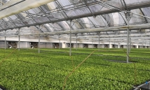 新型农业温室